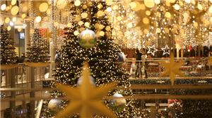 Festival of Trees