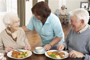 Elderly couple eating meal